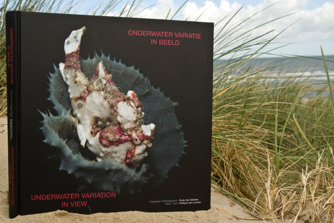 boek onderwatervariatie